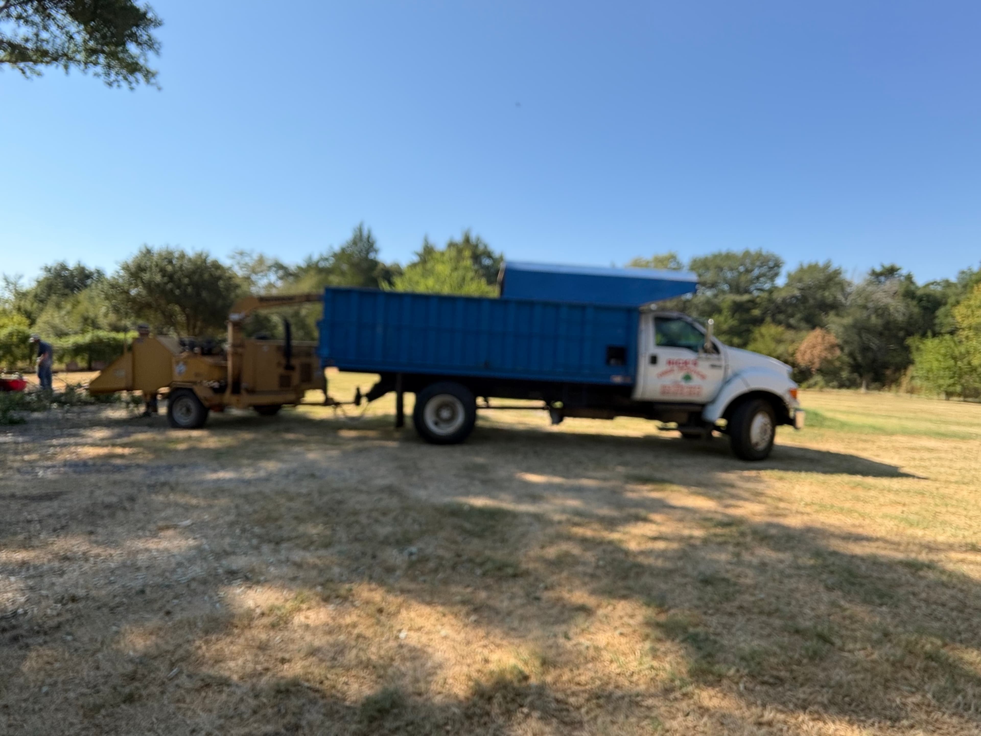 Rick's Tree Service project