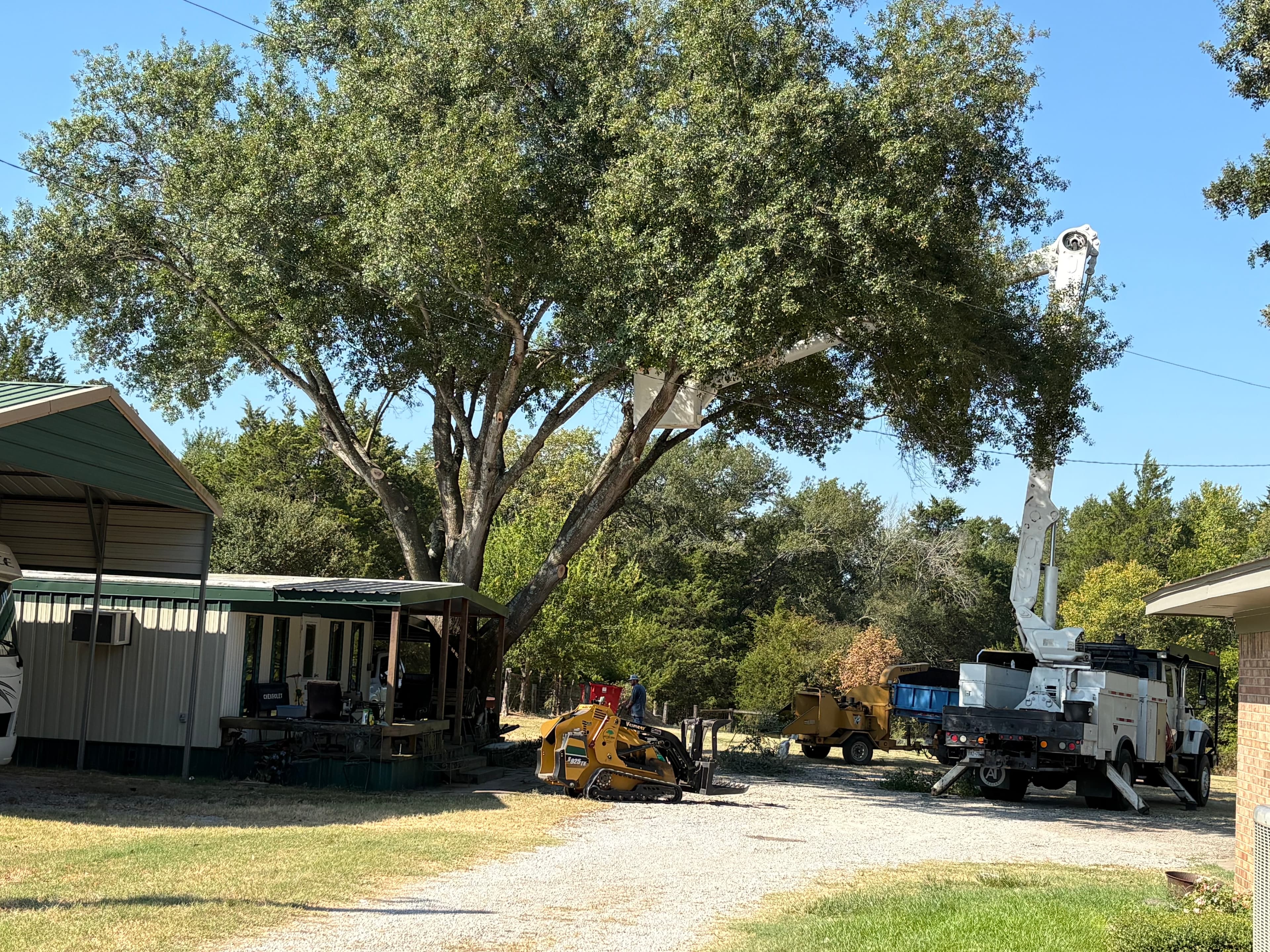 Rick's Tree Service project
